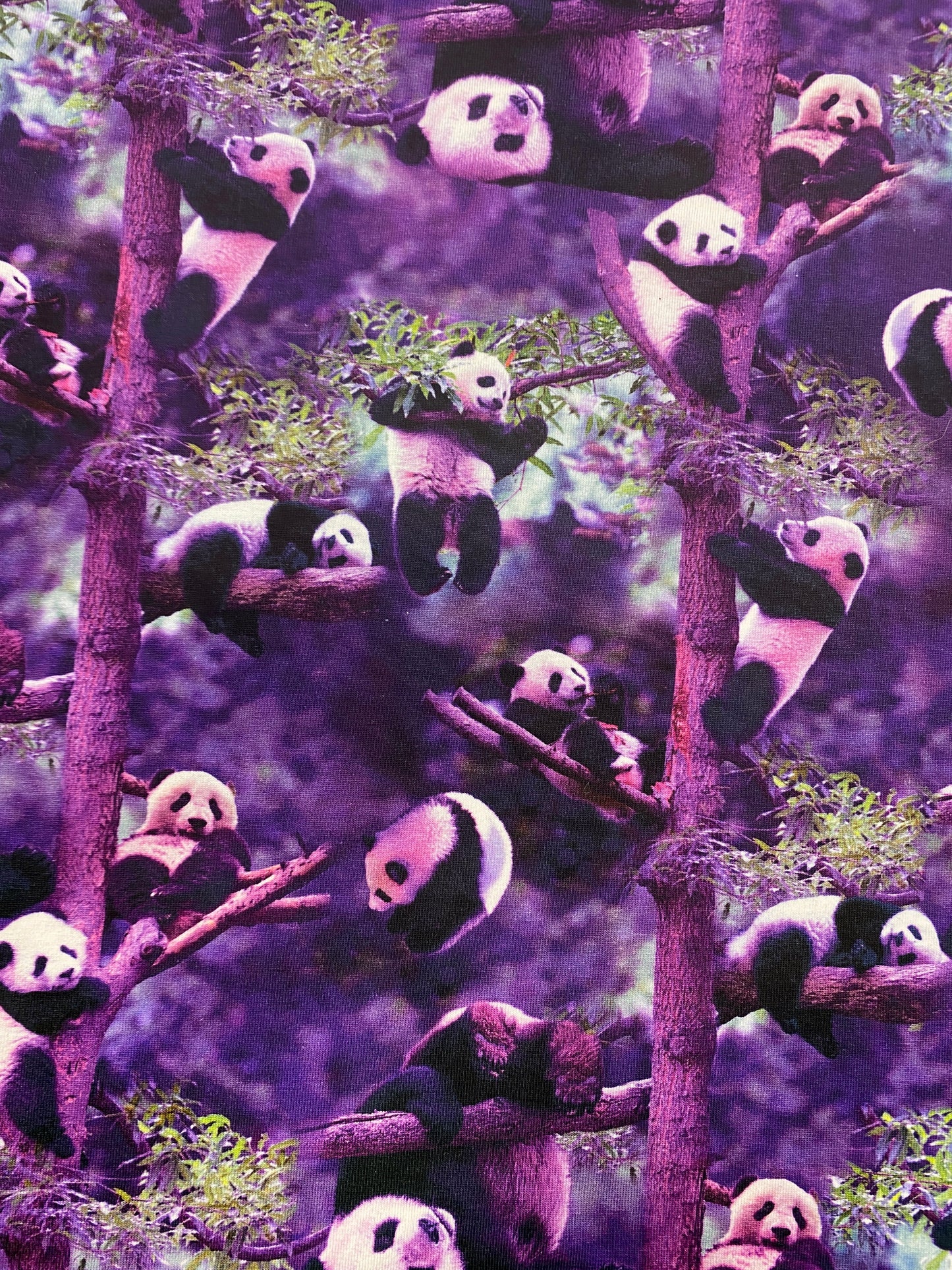 Pandat, violetti, puuvillatrikoo