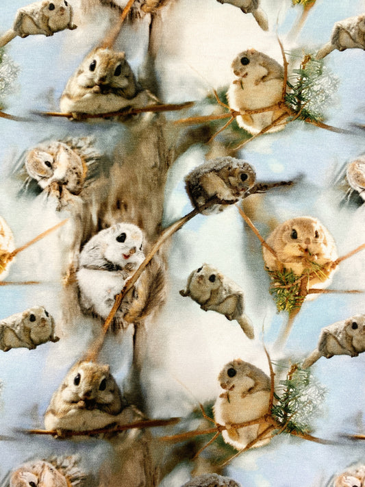 Liito-oravat, puuvillatrikoo